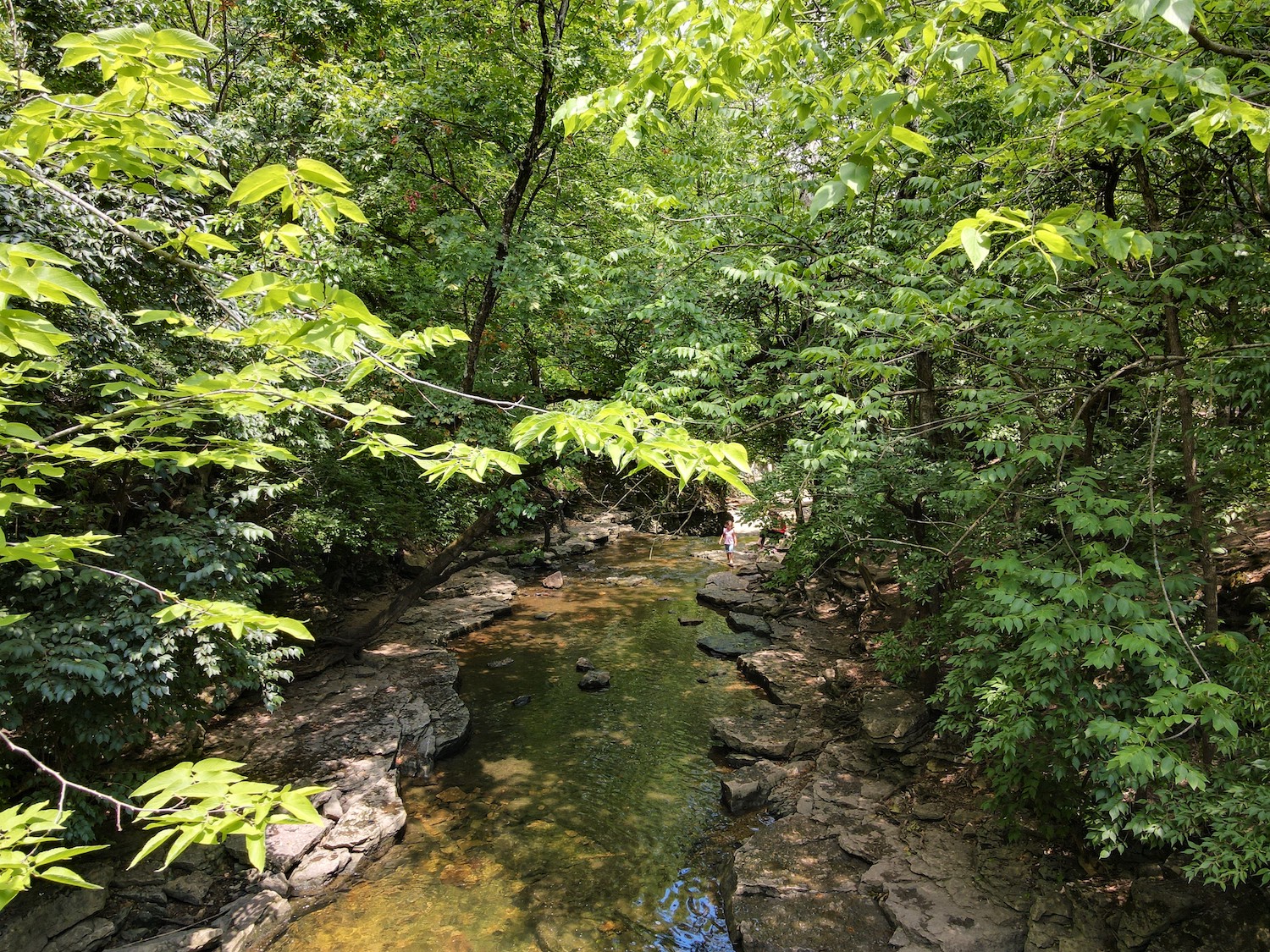 Find your Dream Home at Deer Run in Dublin Ohio